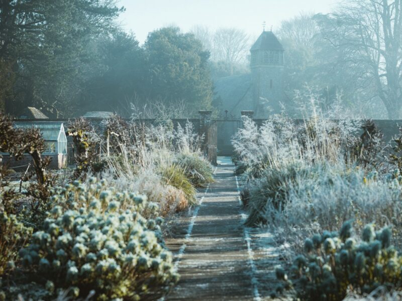 Que faire au jardin en janvier ? 