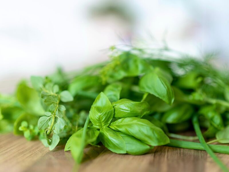 Bienfaits du basilic : santé, cuisine et usages traditionnels